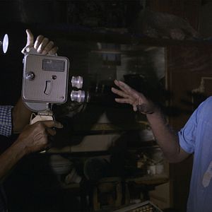 Foto Talking About Trees