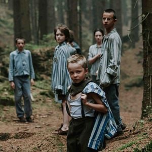 Foto Natureza Selvagem