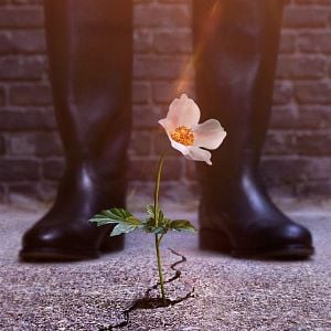 Foto O Homem do Castelo Alto