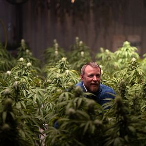 Foto Magnatas do Crime