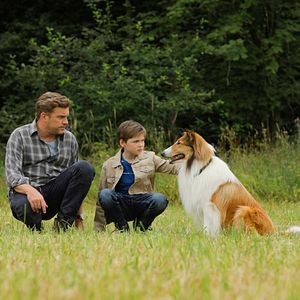 Foto Lassie: De Volta Para Casa