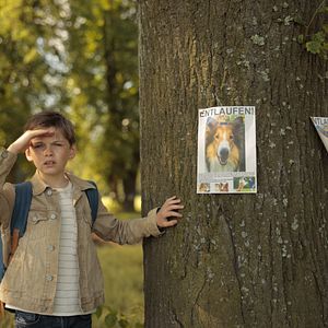 Foto Lassie: De Volta Para Casa