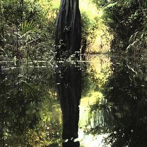 Foto Amazônia Sociedade Anônima