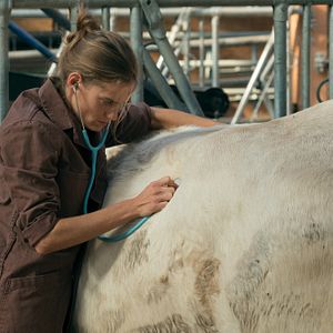 Foto Noémie Schmidt