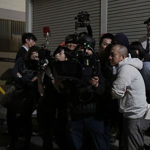 Foto Crepúsculo dos felinos