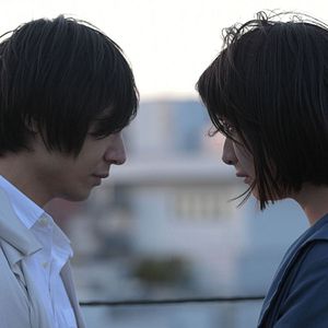 Foto Crepúsculo dos felinos