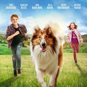 Foto Lassie: De Volta Para Casa