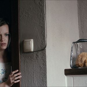 Foto Sangue de Pelicano