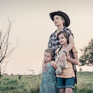 Foto Sangue de Pelicano