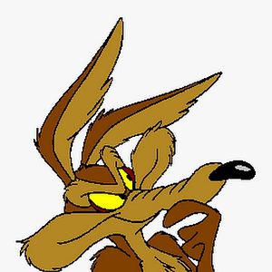 Foto Coyote vs. Acme