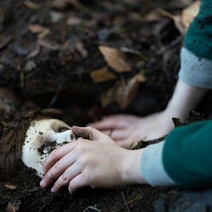 Foto Brahms: Boneco do Mal II