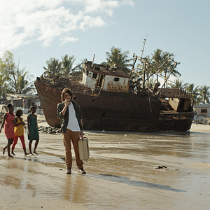 Foto Um Animal Amarelo