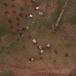 Foto A Grande Muralha Verde