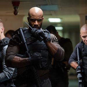 Foto Instinto Predador