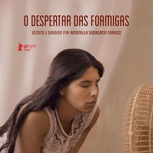 Foto O Despertar das Formigas