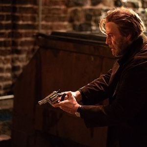 Foto A Rosa Venenosa