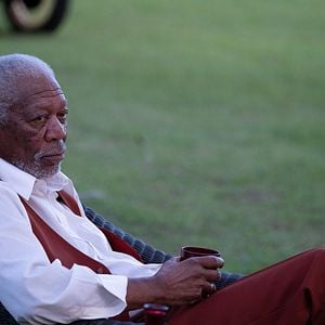 Foto A Rosa Venenosa