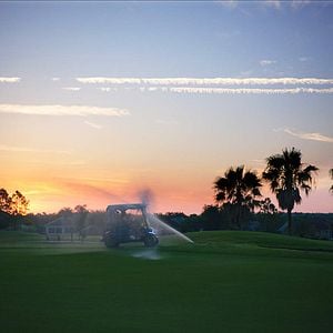 Foto Some Kind of Heaven