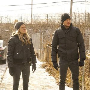 Foto Tracy Spiridakos