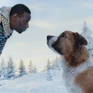 Foto O Chamado da Floresta