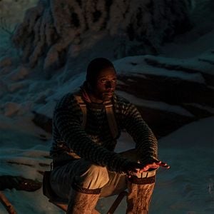 Foto O Chamado da Floresta