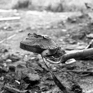 Foto Dawson City - Tempo Congelado
