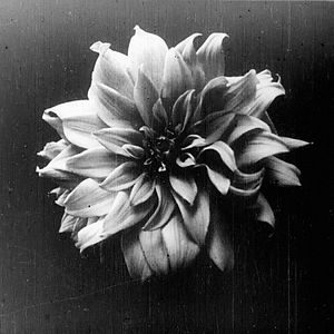 Foto Dawson City - Tempo Congelado