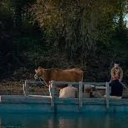 Foto First Cow - A Primeira Vaca da América