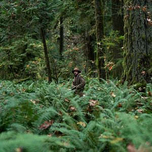 Foto First Cow - A Primeira Vaca da América