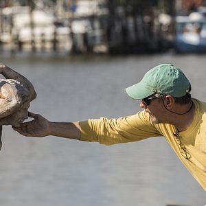 Foto A Possessão de Mary