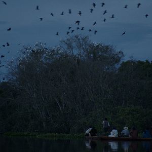 Foto Luz nos Trópicos