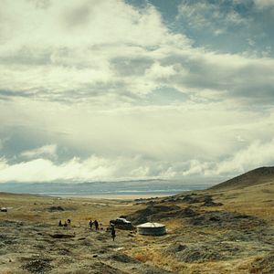 Foto Veins Of The World