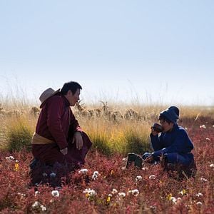 Foto Veins Of The World