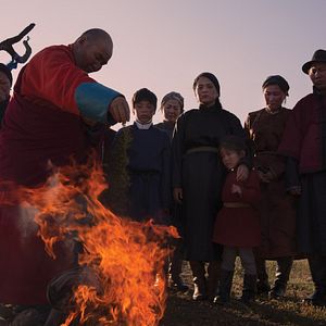 Foto Veins Of The World