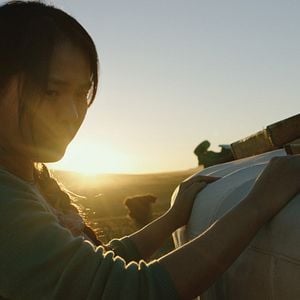 Foto Veins Of The World