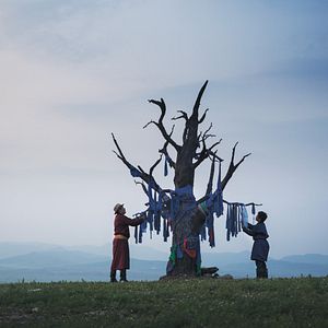 Foto Veins Of The World