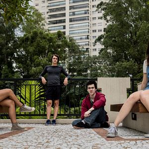 Foto Sobre Girassóis