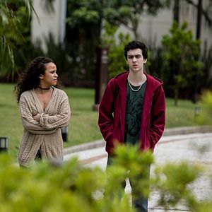 Foto Sobre Girassóis