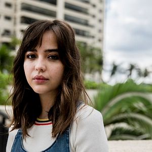 Foto Sobre Girassóis