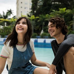 Foto Sobre Girassóis