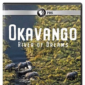 Foto Okavango: River Of Dreams