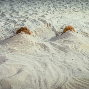 Foto Duas Tias Loucas de Férias