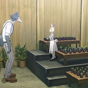 Foto BEASTARS - O Lobo Bom