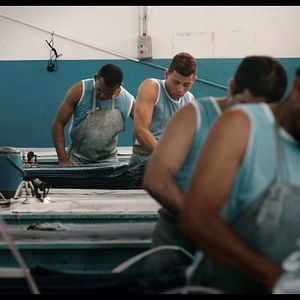 Foto Estou me Guardando para Quando o Carnaval Chegar