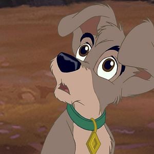 Foto A Dama e o Vagabundo 2 - As Aventuras de Banzé