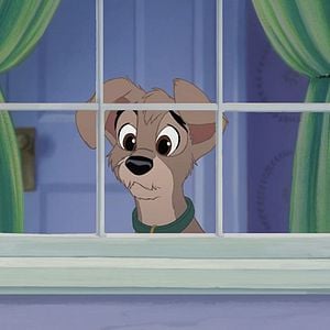 Foto A Dama e o Vagabundo 2 - As Aventuras de Banzé