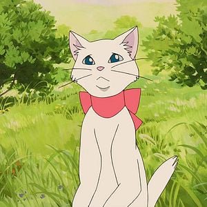 Foto O Reino dos Gatos