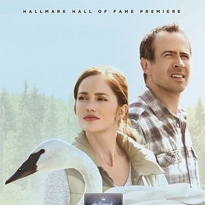 Foto Fazenda dos Cisnes