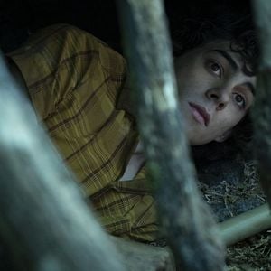 Foto Daniel Zolghadri