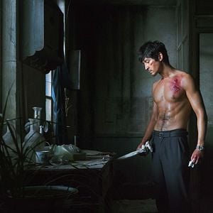 Foto O Lago do Ganso Selvagem